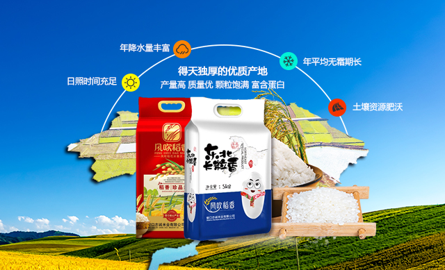 ӯ������(�й���)���޹�˾����