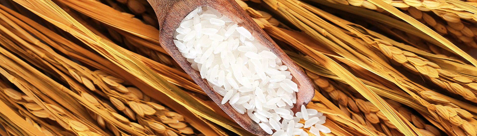 ӯ������(�й���)���޹�˾����